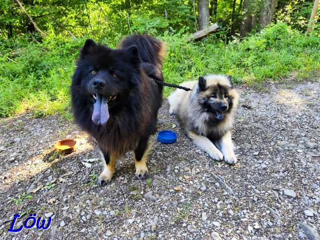 28.6.2025 - Tankstelle